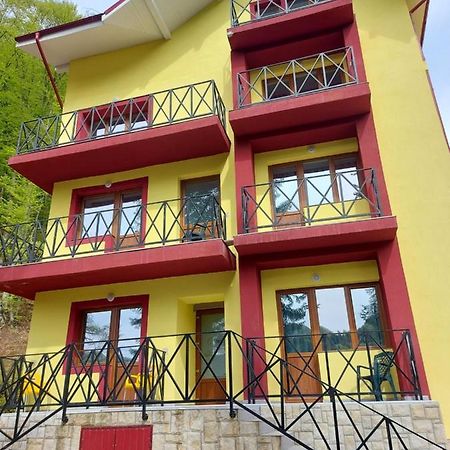 Vila Ioana Hotel Slănic-Moldova Eksteriør billede